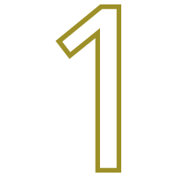 Icon 1