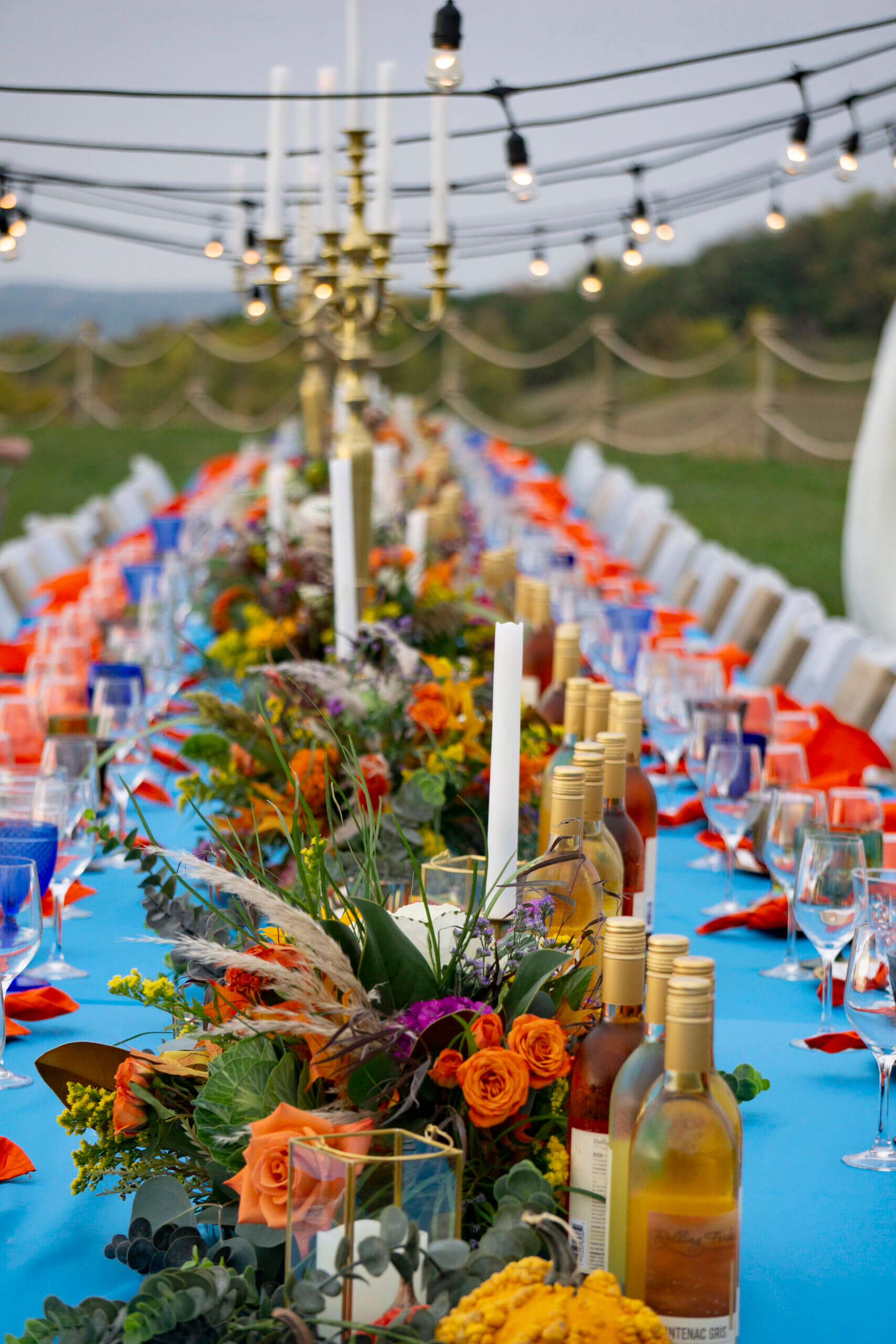 Outdoor Private Event at Minnesota Vineyard