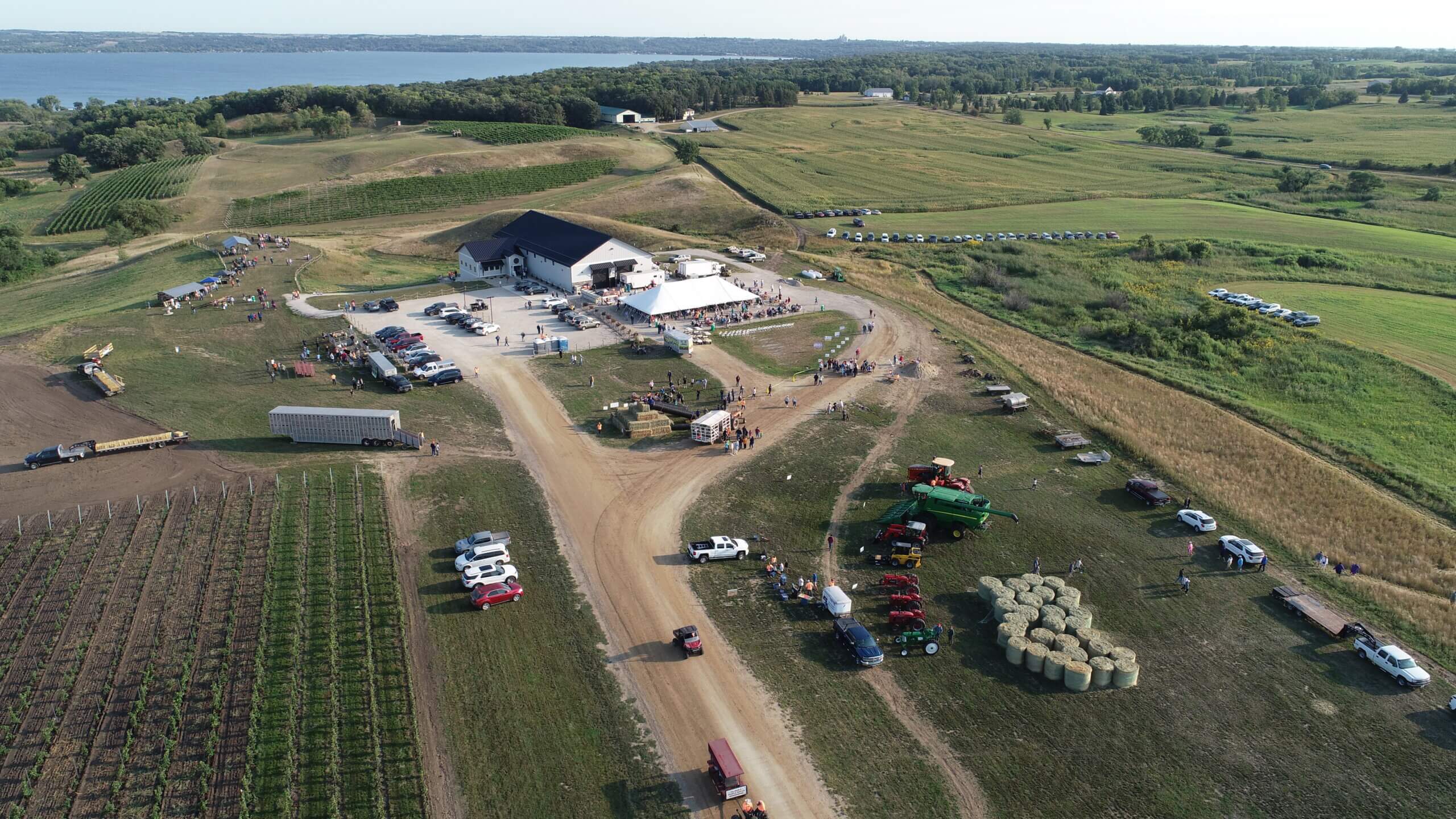 Aerial view of Rolling Forks Vineyards in Summer