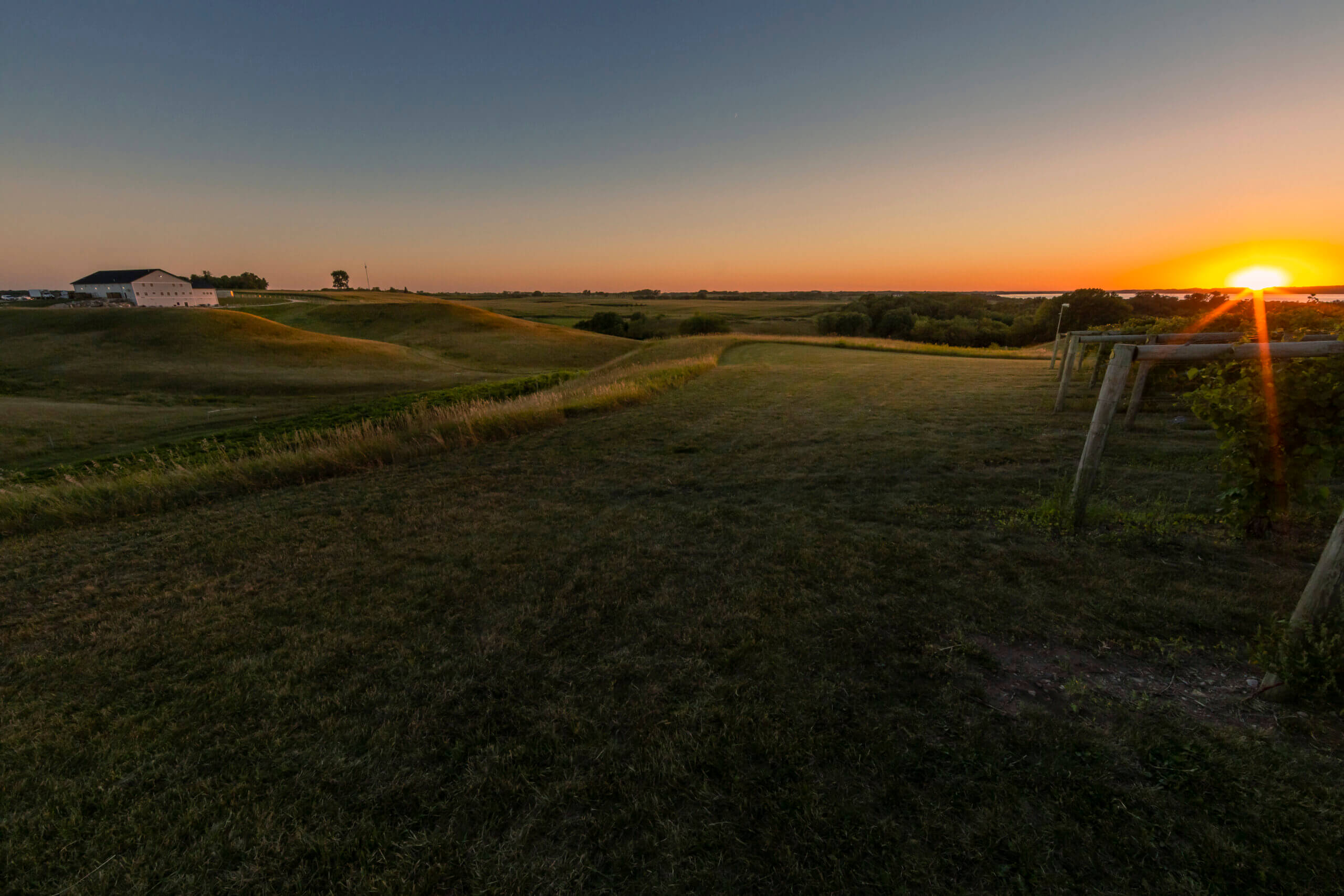 Guest Blog Rolling Forks Vineyards provides a perfect taste of home