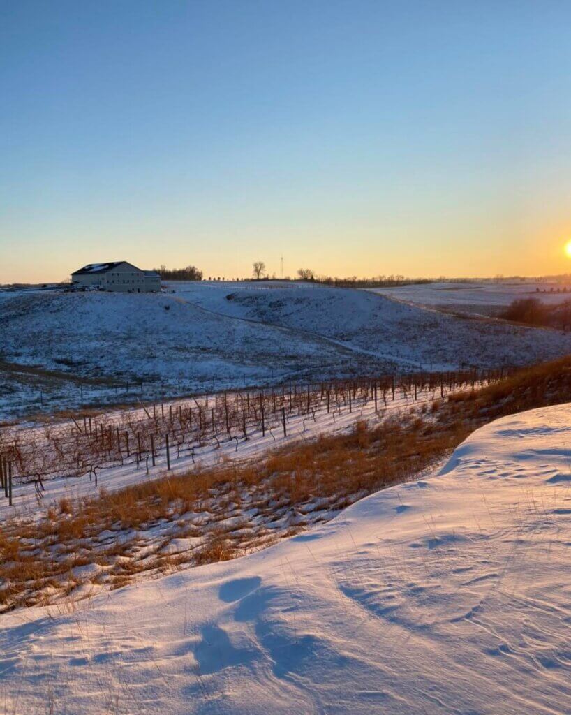Sunset on the snowy hills of Rolling Forks Vineyards