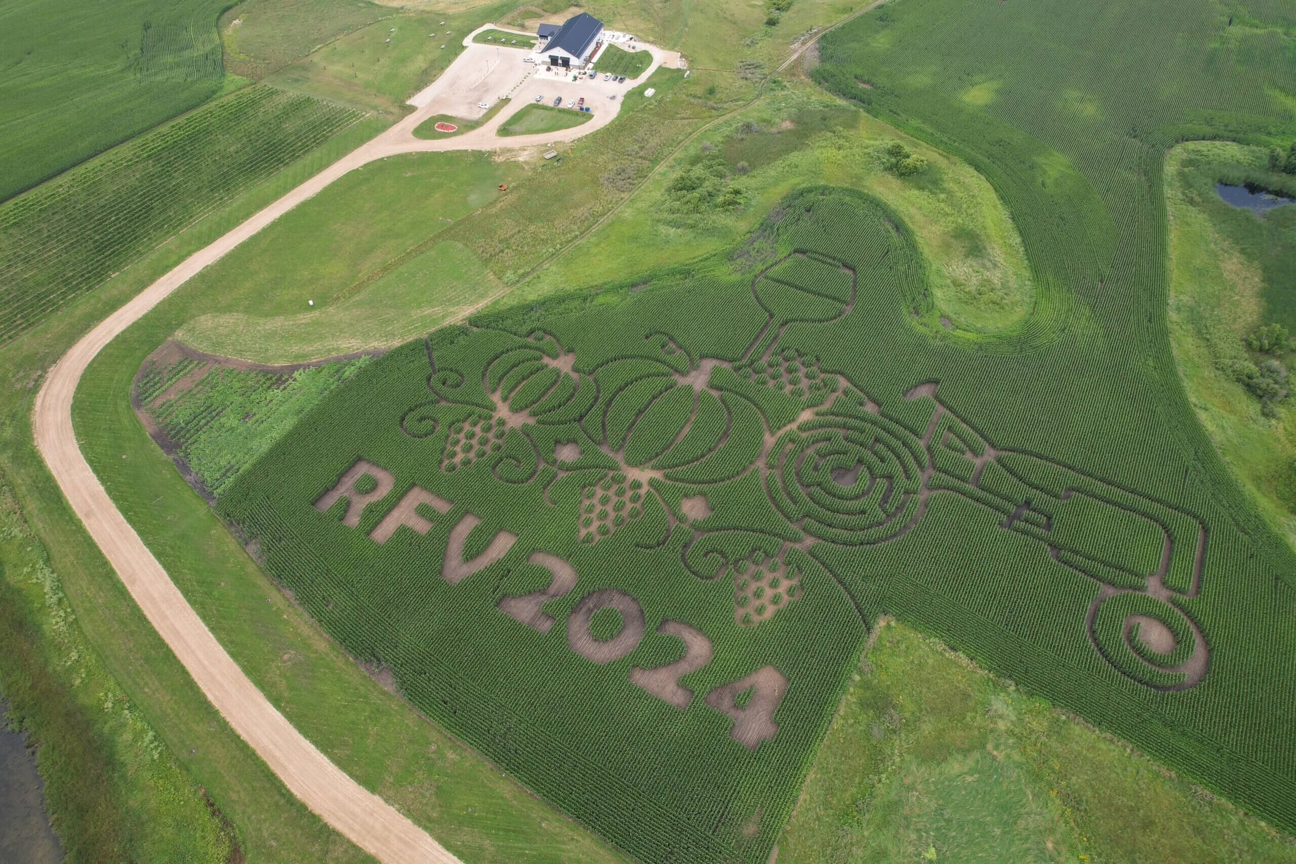 Fall Family Activities