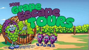 Grape Escape Vineyard and Winery Tours