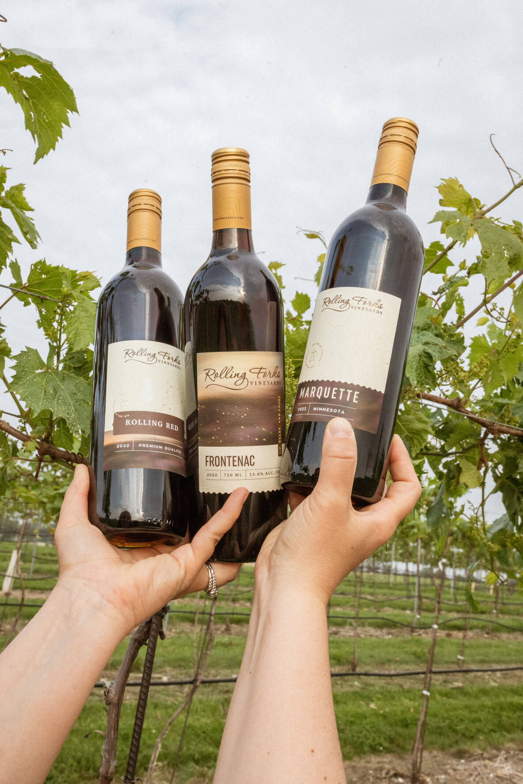 Wines Rolling Forks Vineyards, Glenwood, Minnesota