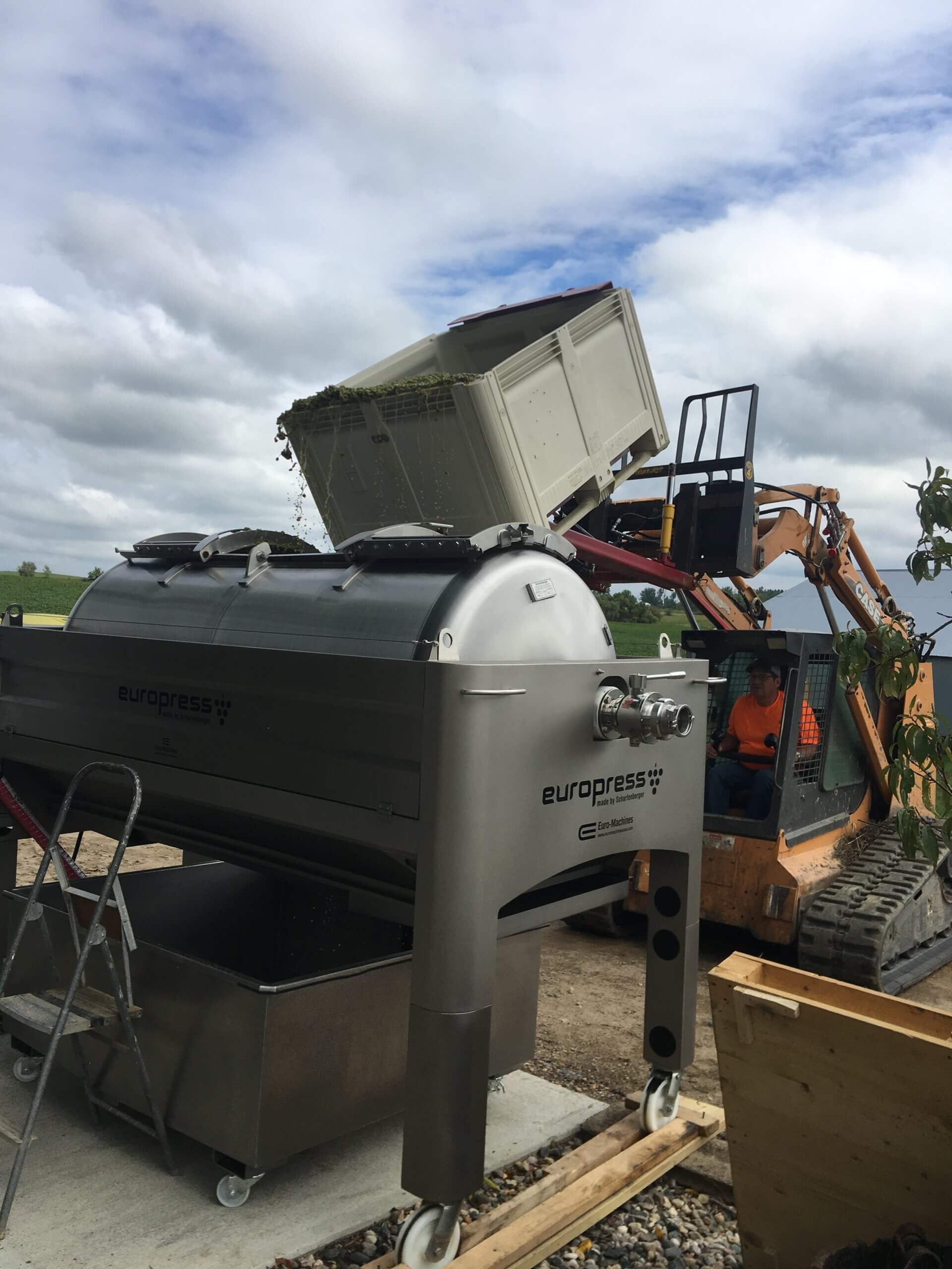 Wine Production showing harvested grapes going into the juice press at Rolling Forks VIneyards, Glenwood Minnesota