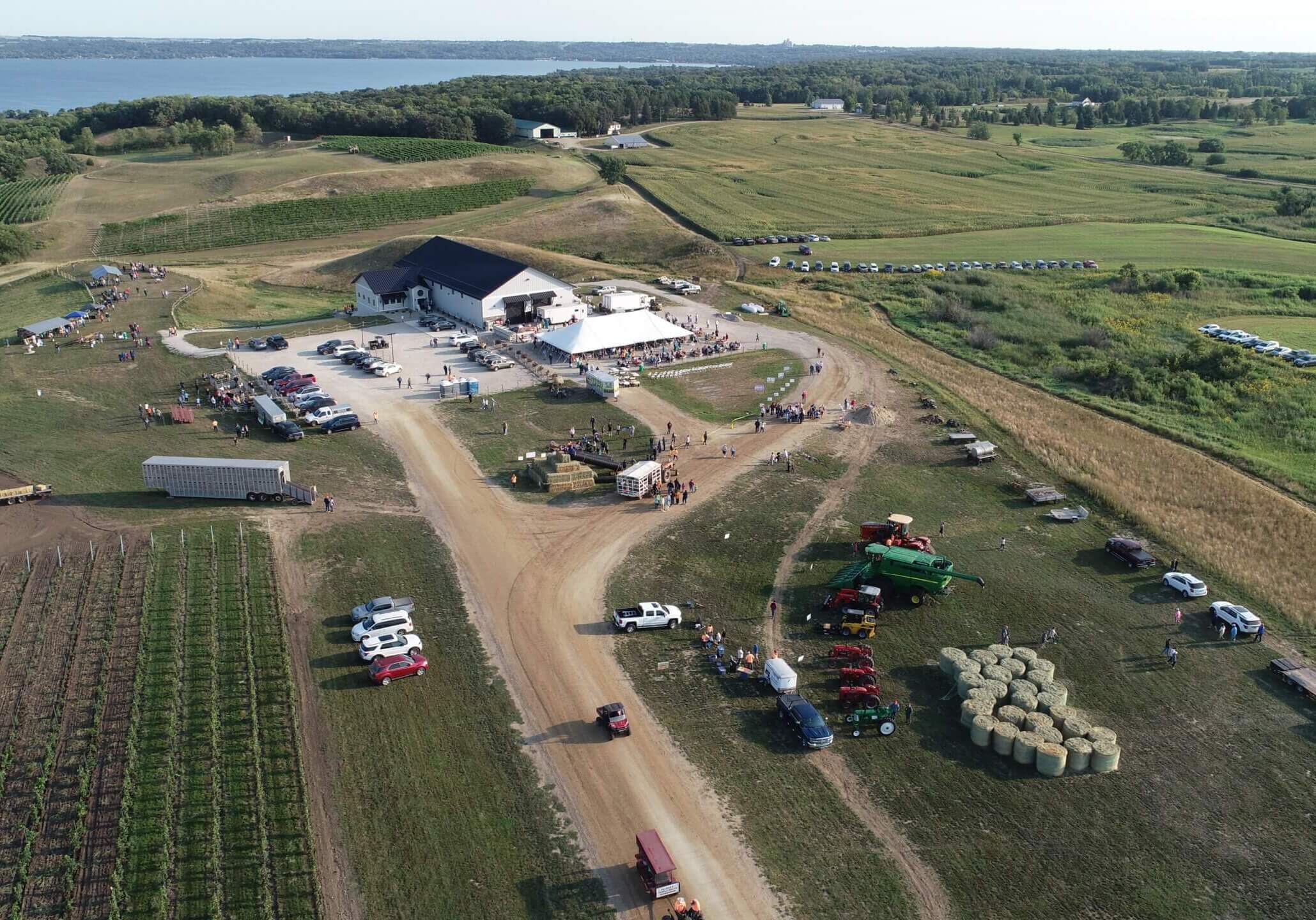 Aerial view of Rolling Forks Vineyards in Summer