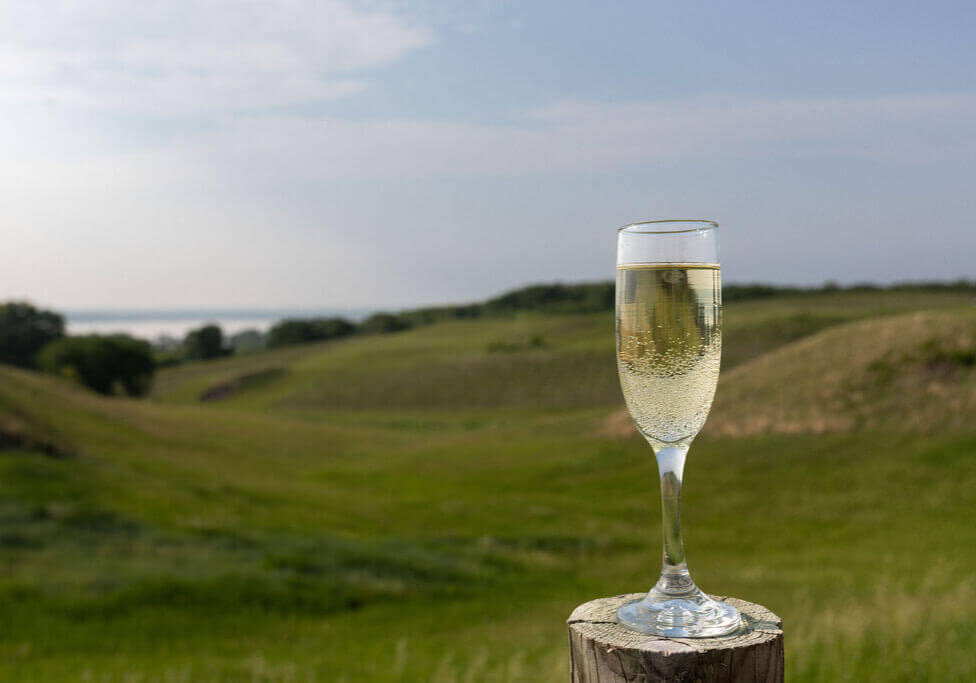 Bubbles in the Sparkling wine overlooking Lake Minnewaska at Rolling Forks Vineyards, Glenwood Minnesota