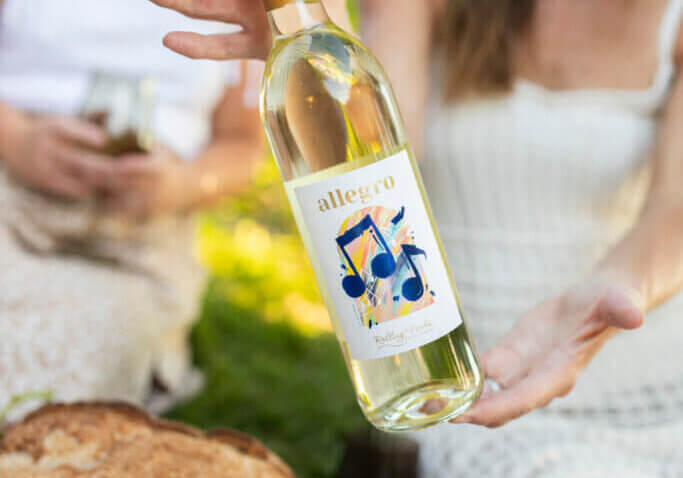 Ladies at a Picnic in the vineyard holding Allegro white wine by Rolling Forks vineyards, Glenwood, Minnesota