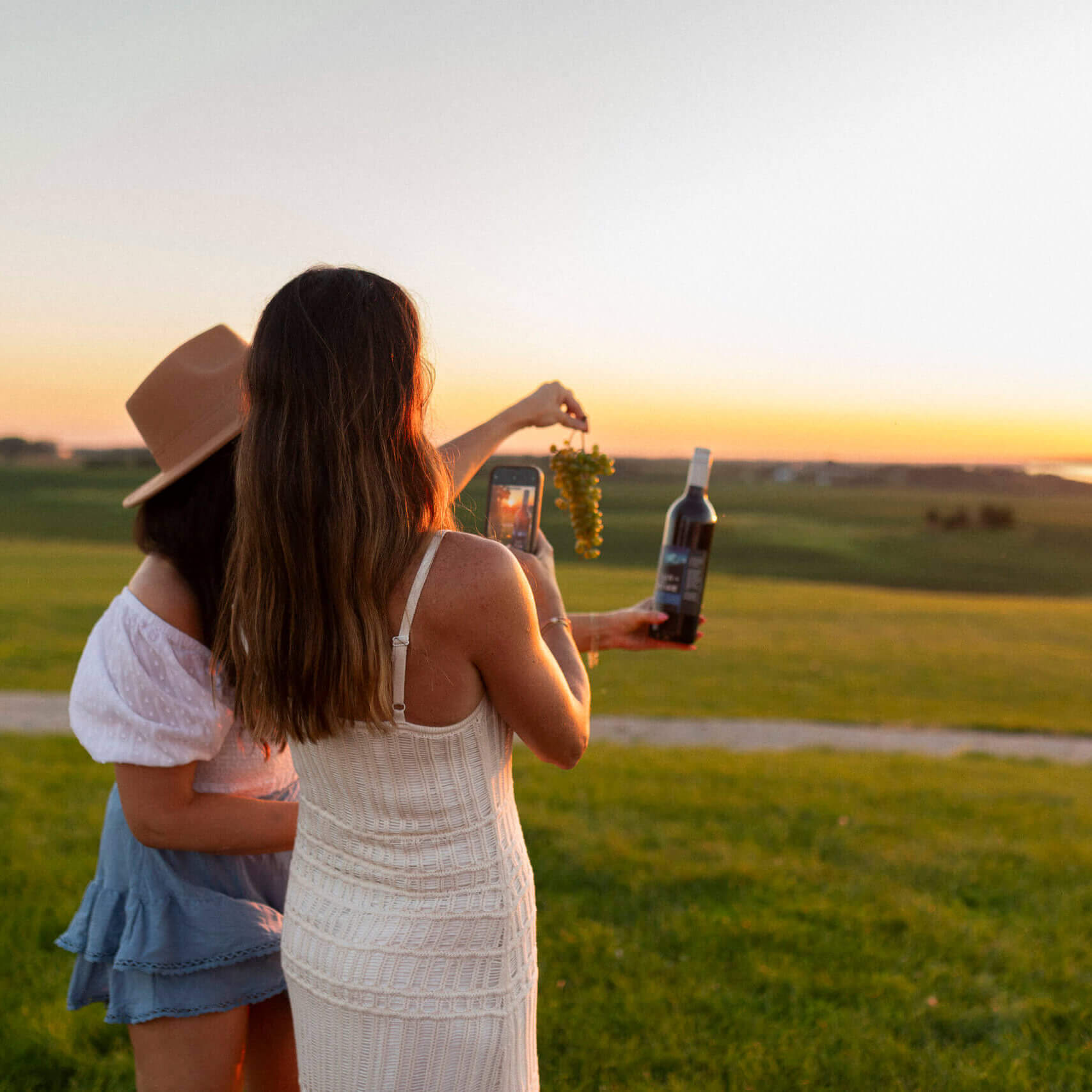 Rolling Forks Vineyards award-winning Minnesota wines for food pairing.